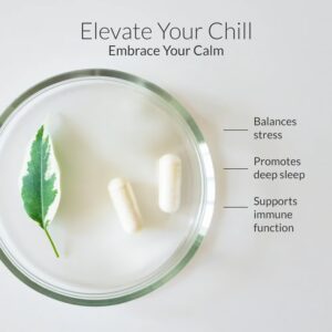 Bioptimizers Magnesium Breakthrough