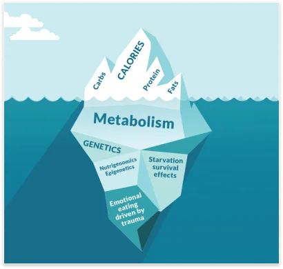 Bioptimizers The Ultimate Nutrition Bible