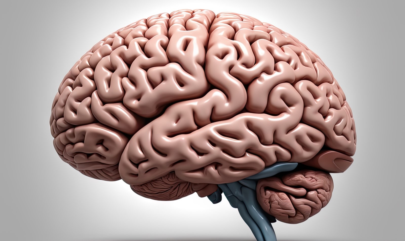bioptimizers brain health