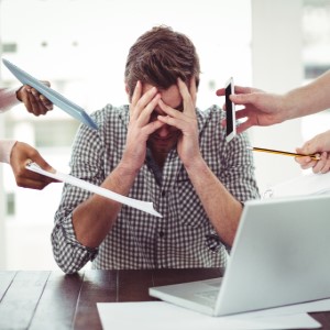 bioptimizers stress support supplements
