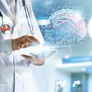 bioptimizers brain health support