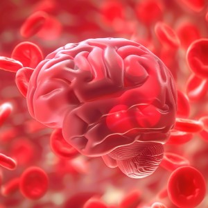 bitoptimizers brain support supplement