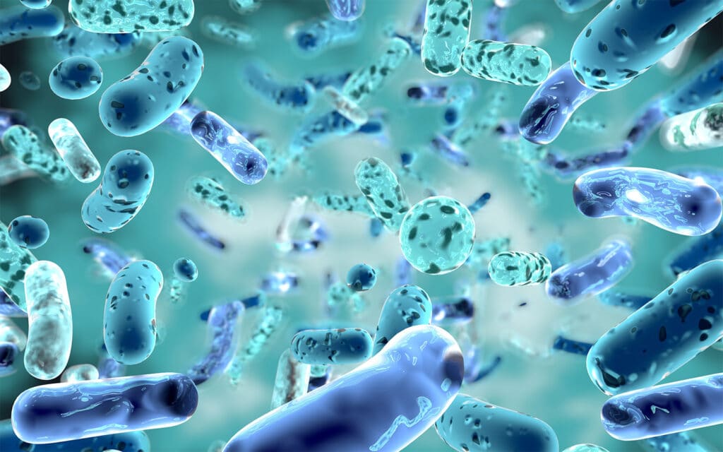 Can You Take Too Many Digestive Enzymes? gut health intestinal bacteria
